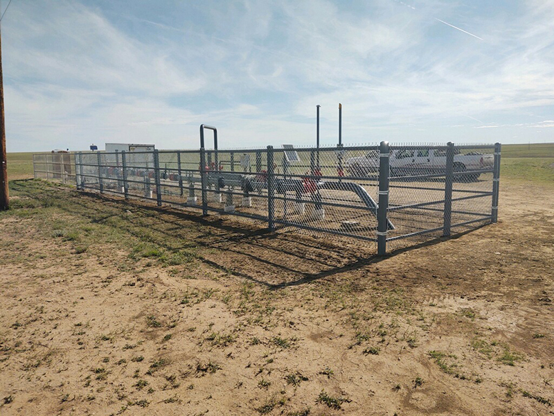 an image of Welded Fencing in the field